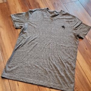 Express Gray V-Neck Men's Shirt